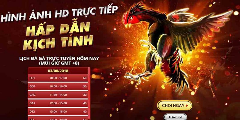 Đá Gà Trực Tiếp